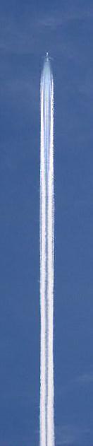 chemtrail (NZ) profile picture