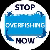 EndOverfishing.org profile picture