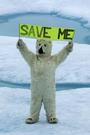 Save Polar Bears profile picture