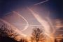 chemtrail (NZ) profile picture