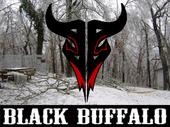 Black Buffalo profile picture