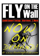 Fly on the Wall profile picture