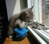 Sniperkitty profile picture