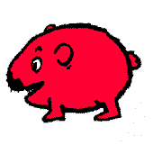 wombat records profile picture