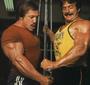 Mike Mentzer Fanlclub profile picture