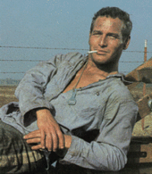 Paul Newman profile picture