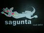 sagunta profile picture