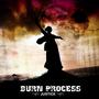 BURN PROCESS profile picture