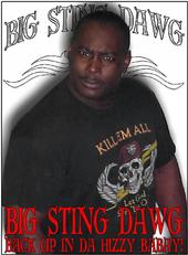 Big Stingdawg profile picture