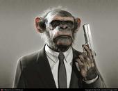 The Tin Monkeys Revolt!! profile picture