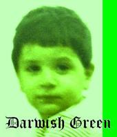 DarwishGreen profile picture