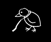 the Suicidal Birds profile picture