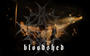 Bloodshed(Swe) profile picture