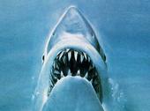 jaws19751