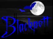 BlackPott (schwarzes Ruhrgebiet) profile picture