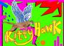 Kittyhawk profile picture