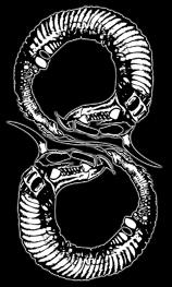 WORM HOLE DEATH profile picture