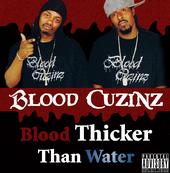 DEBUT ALBUM" BLOOD THICKER THAN WATER" profile picture