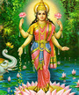 Lakshmi profile picture