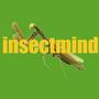 Insectmind ALBUMS OUT NOW profile picture