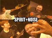 SPIRIT+NOISE profile picture