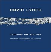 davidlynchbook