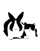 Bunnies and Kitties profile picture