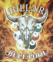 Bull Pool profile picture