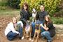 Our Boxer Family !! profile picture