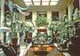 George Eastman House profile picture