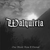 WALQUIRIA profile picture