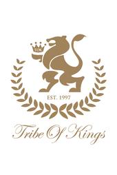 Tribe of Kings Soundsystem profile picture