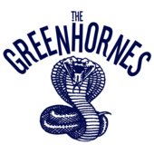 THE GREENHORNES profile picture