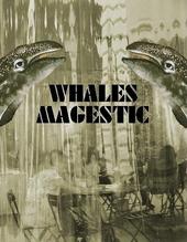 Whales Magestic profile picture