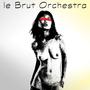 Le Brut Orchestra profile picture