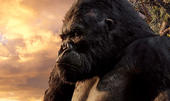 King Kong profile picture