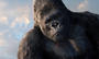 King Kong profile picture