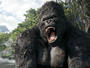 King Kong profile picture