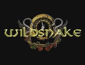 WildSnake - Whitesnake Tribute Band profile picture