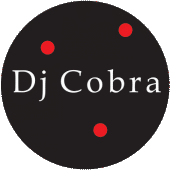 dj cobra profile picture