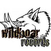 (((((WILDBOAR RECORDS))))) profile picture