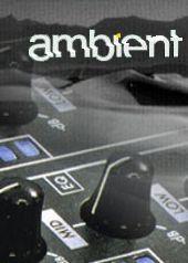 Ambient Festival profile picture