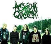 Asylum Queen - New songs SOON profile picture