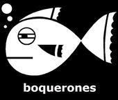 boquerones profile picture