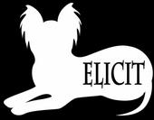 ELICIT MUSIC profile picture