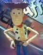 Woody profile picture