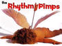 The Rhythm Pimps profile picture