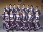 Mariachi Femenil Estrellas De MichoacÃ¡n profile picture