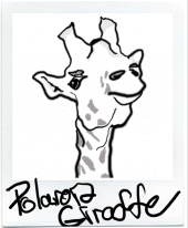 Polaroid Giraffe profile picture