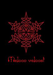 MELOCO VELOCET profile picture